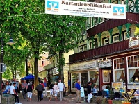 16. Kastanienblütenfest 2018 01  Blick in die Bummelallee